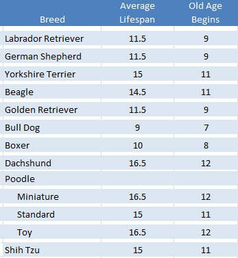 Akc Dog Age Chart